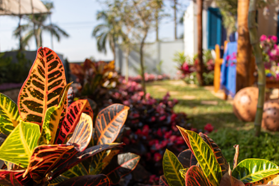 Galeria Expoflora