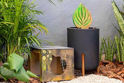 Galeria Expoflora