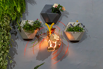Galeria Expoflora