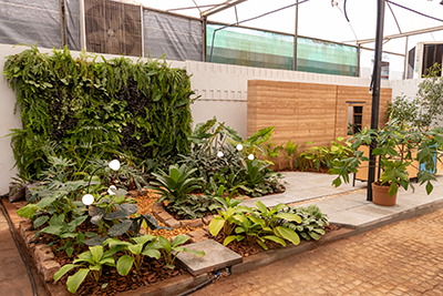Galeria Expoflora