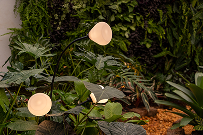 Galeria Expoflora