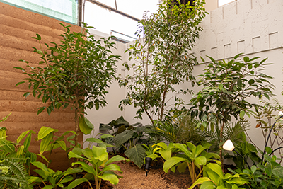 Galeria Expoflora