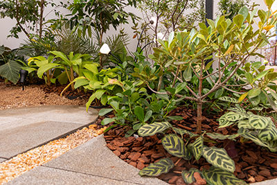 Galeria Expoflora