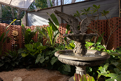 Galeria Expoflora