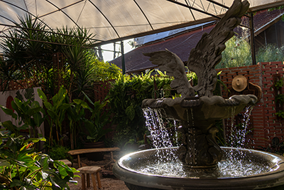 Galeria Expoflora