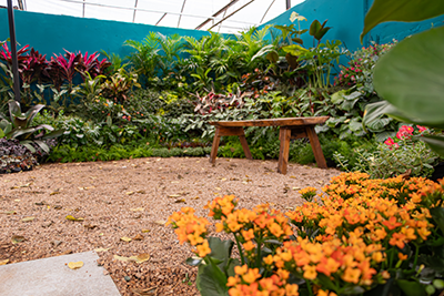 Galeria Expoflora