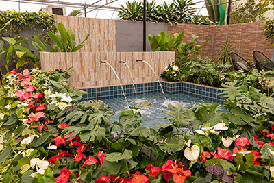 Galeria Expoflora