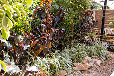 Galeria Expoflora