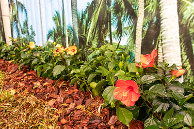 Galeria Expoflora