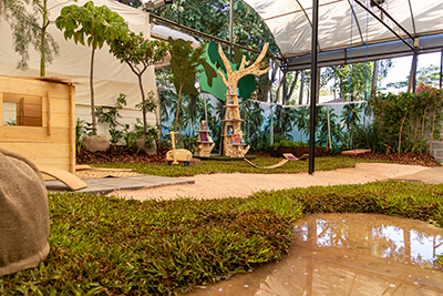 Galeria Expoflora