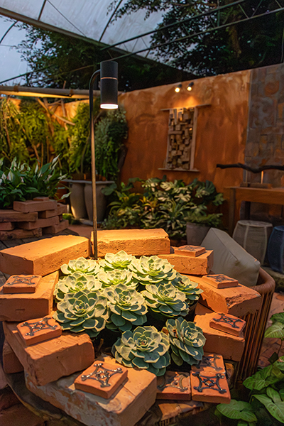 Galeria Expoflora