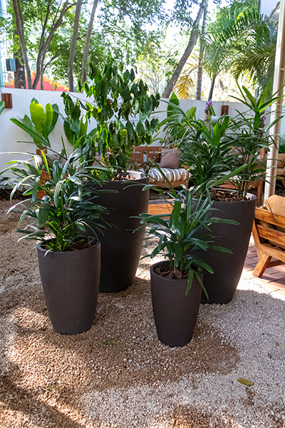 Galeria Expoflora