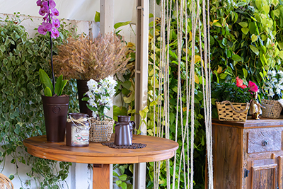 Galeria Expoflora