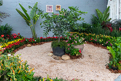 Galeria Expoflora