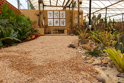 Galeria Expoflora