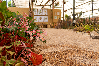 Galeria Expoflora
