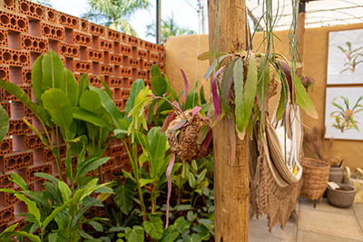 Galeria Expoflora
