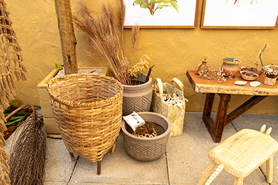 Galeria Expoflora