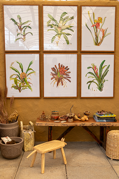 Galeria Expoflora