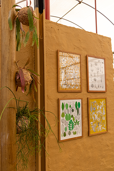 Galeria Expoflora