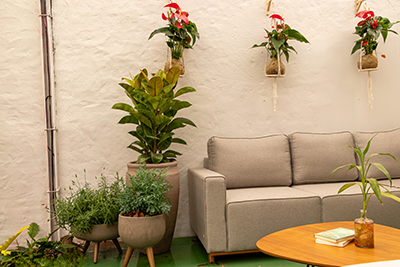 Galeria Expoflora